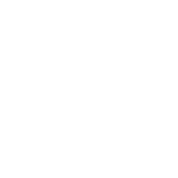 ce logo Rochester
